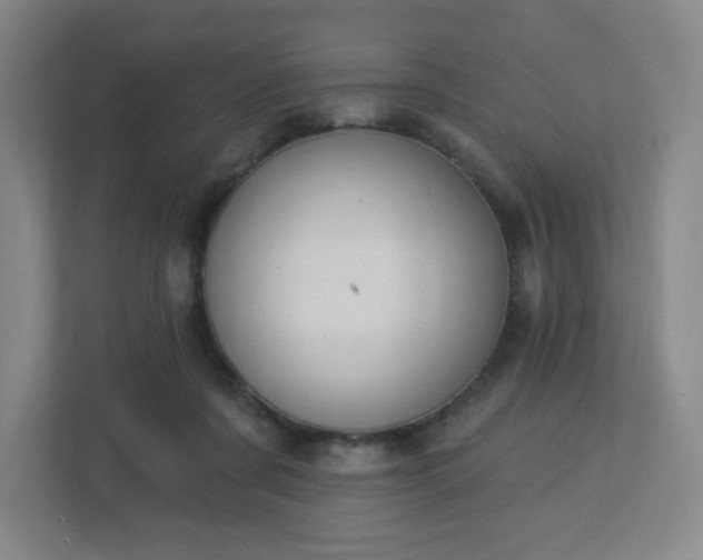 X0000113120311200909041311