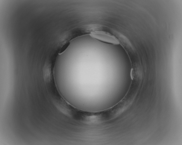 X0000113120312200909041311