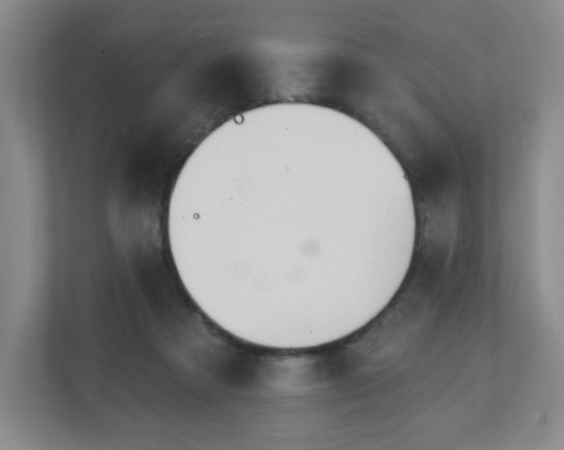 X0000113120313200909041311