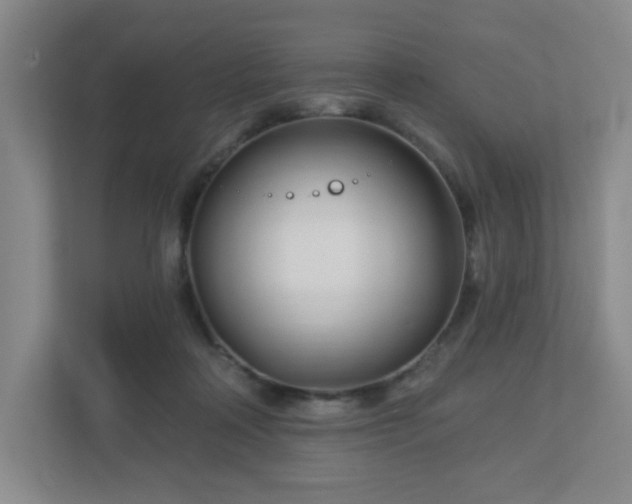 X0000113120314200909041311