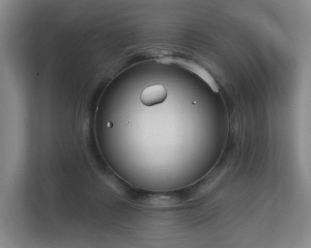 X0000113120315200909041311