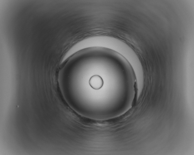 X0000113120317200909041311