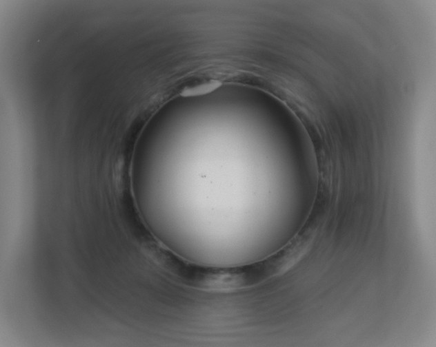 X0000113120319200909041311