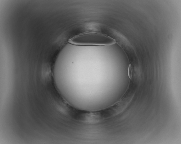 X0000113120320200909041311