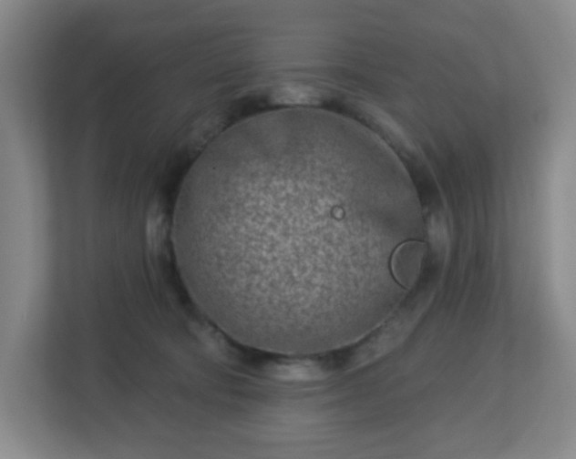 X0000113120322200909041311