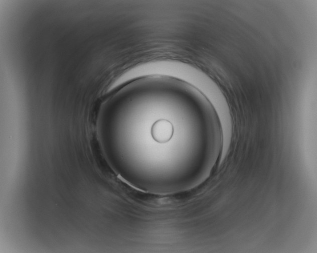 X0000113120324200909041311