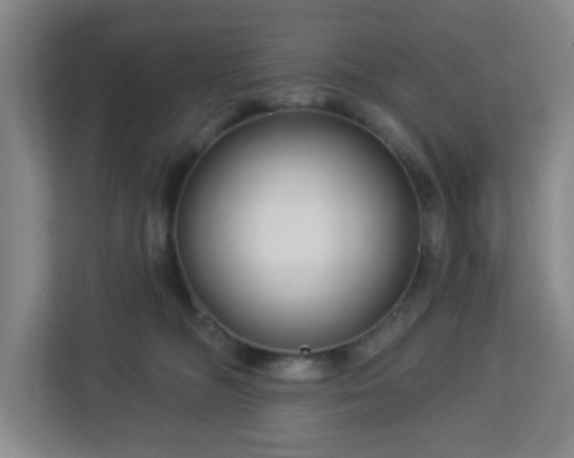 X0000113120326200909041311