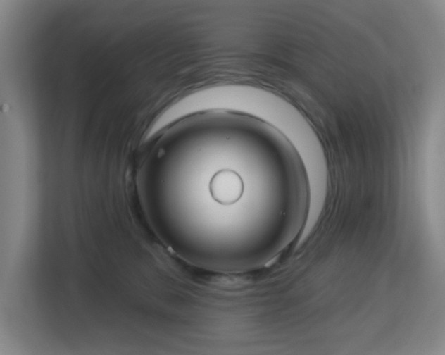 X0000113120327200909041311