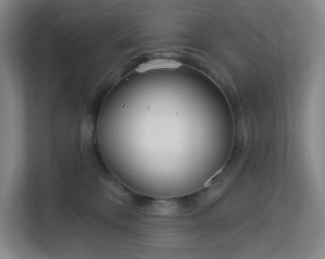 X0000113120328200909041311