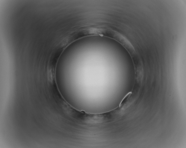 X0000113120329200909041311