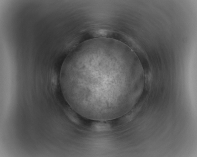 X0000113120331200909041311