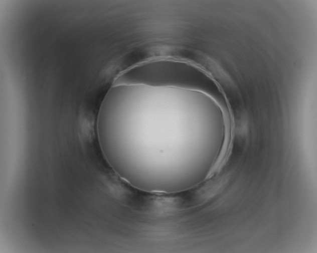 X0000113120332200909041311