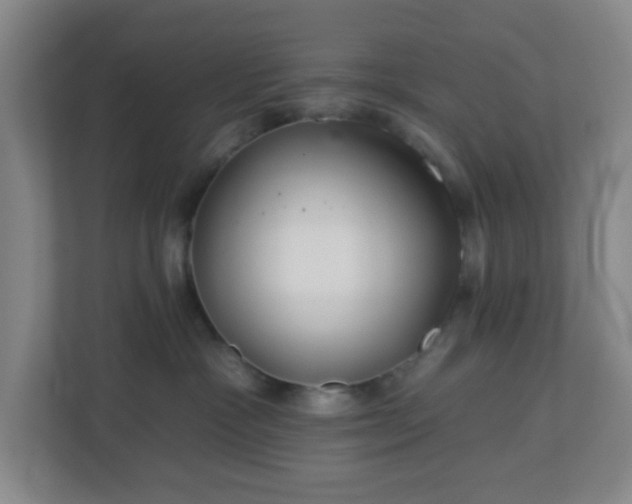 X0000113120333200909041311