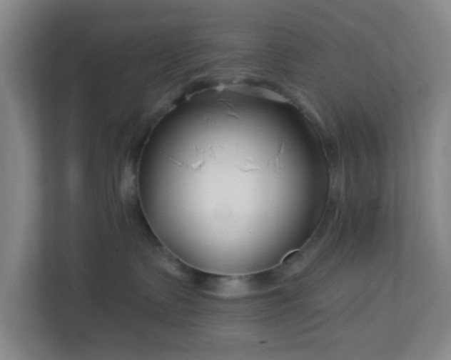 X0000113120335200909041311