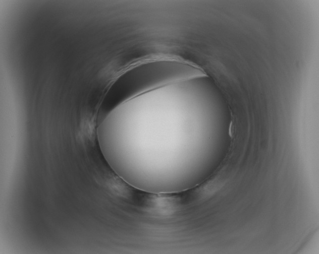 X0000113120336200909041311