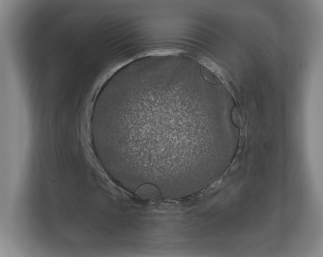 X0000113120337200909041310