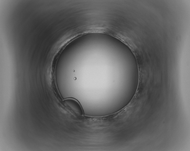 X0000113120338200909041310