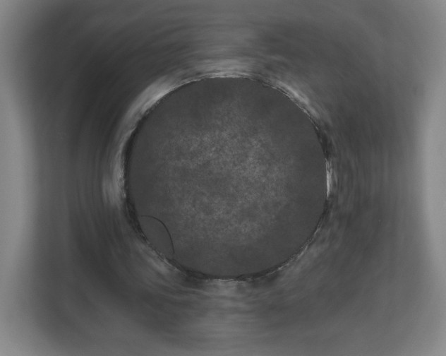 X0000113120339200909041310