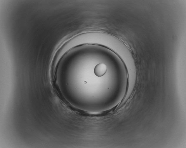 X0000113120340200909041310