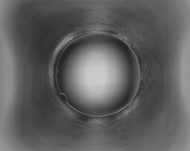 X0000113120341200909041310