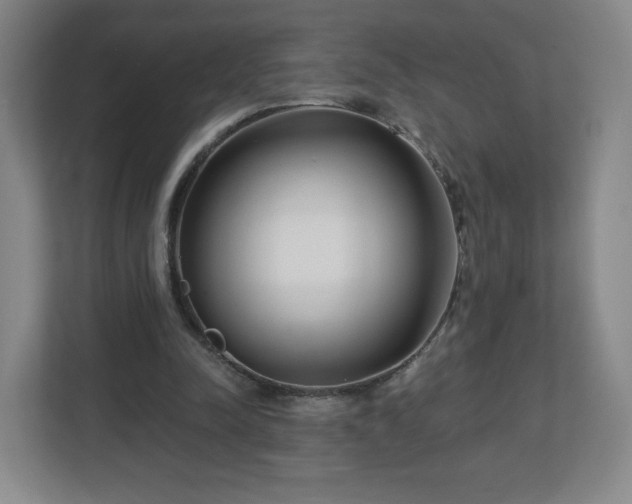 X0000113120342200909041310