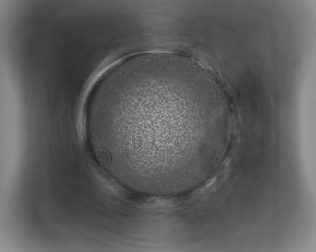 X0000113120343200909041310