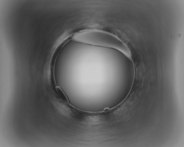 X0000113120344200909041310