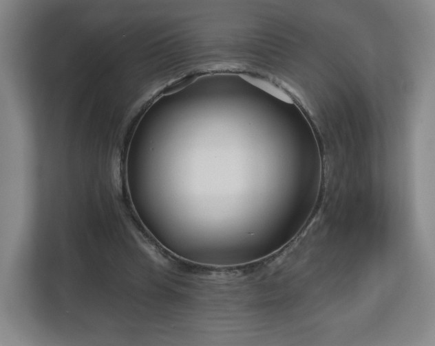 X0000113120345200909041310