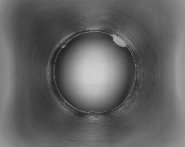 X0000113120346200909041310