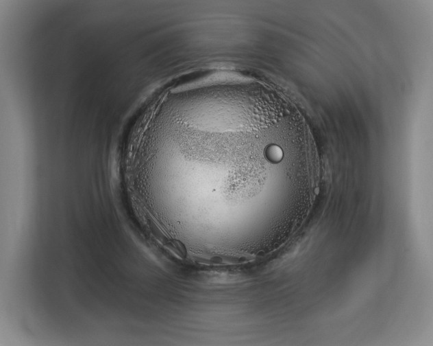 X0000113120347200909041310
