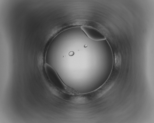 X0000113120348200909041310