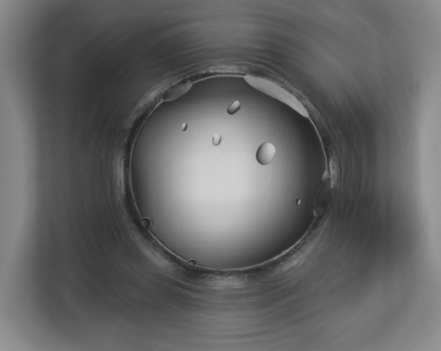 X0000113120349200909041310