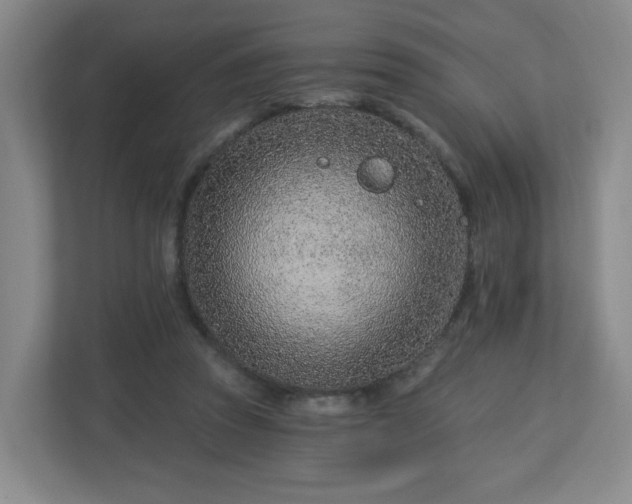 X0000113120353200909041310