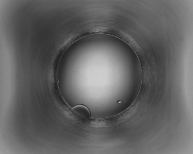 X0000113120354200909041310