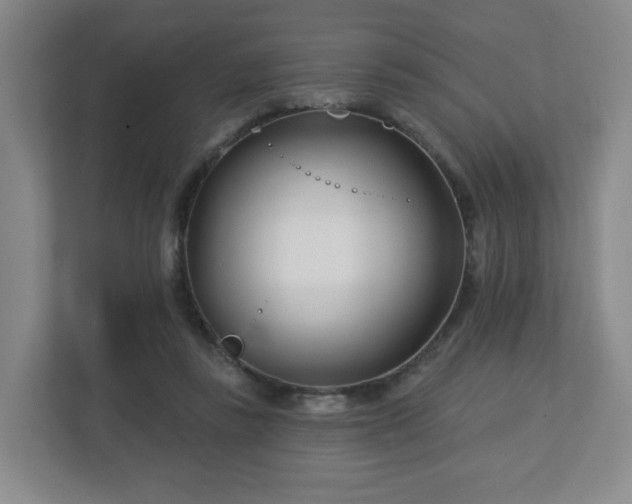 X0000113120355200909041310