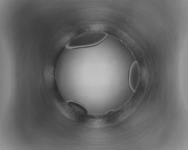 X0000113120356200909041310