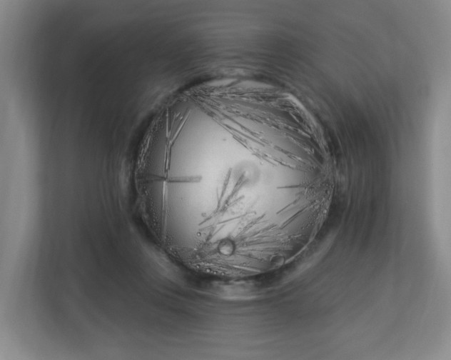 X0000113120359200909041310