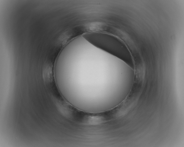 X0000113120360200909041310