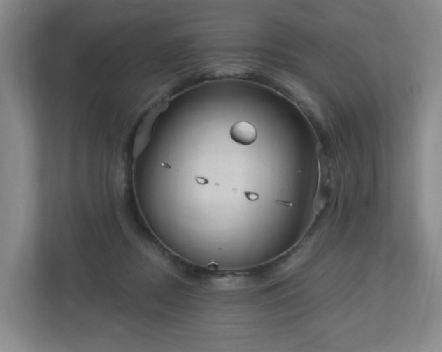 X0000113120362200909041310