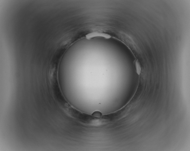 X0000113120364200909041310