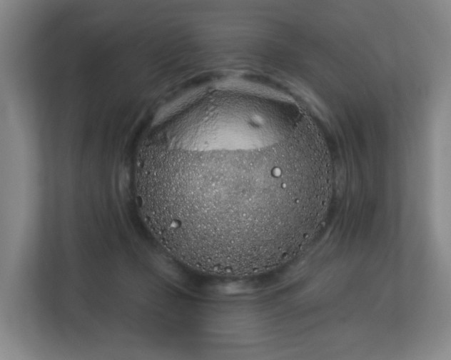 X0000113120365200909041310