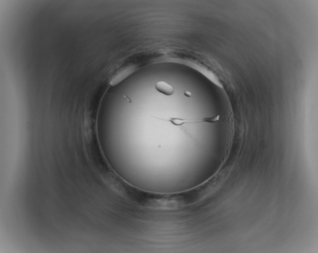 X0000113120366200909041311