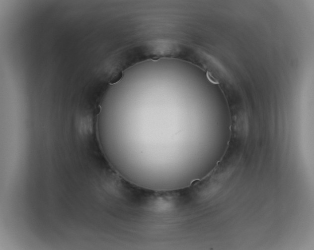 X0000113120368200909041311