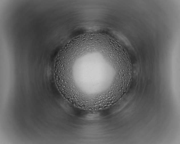 X0000113120369200909041311