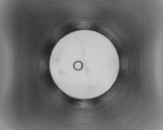 X0000113120370200909041311