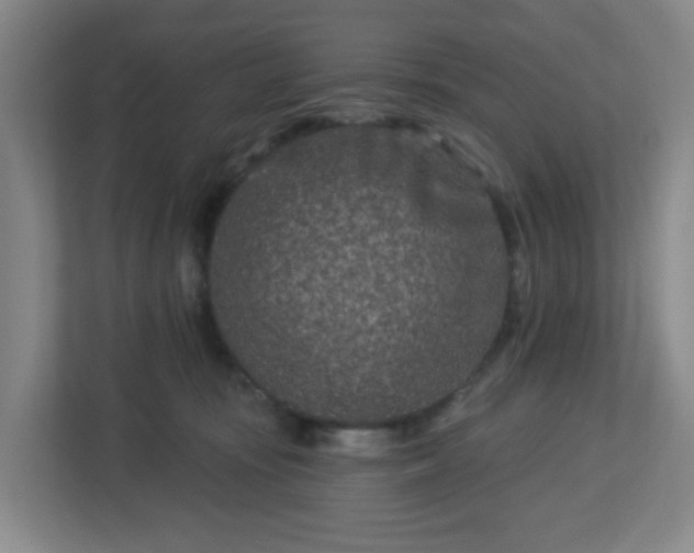 X0000113120371200909041311