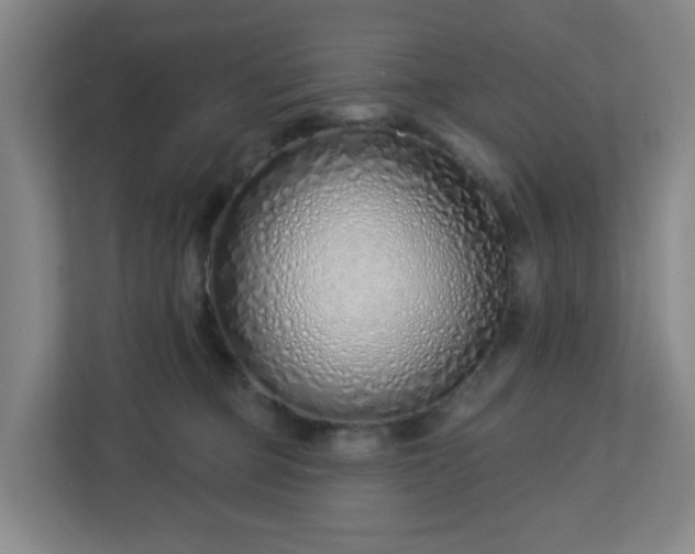 X0000113120373200909041311