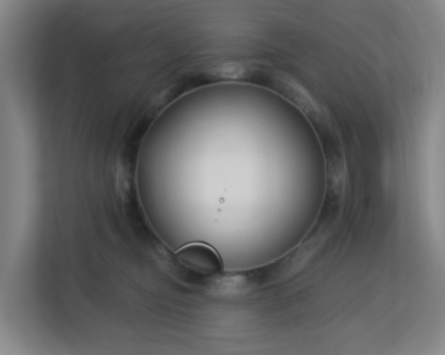 X0000113120374200909041311