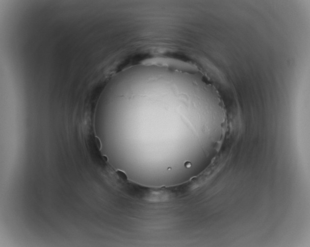 X0000113120376200909041311