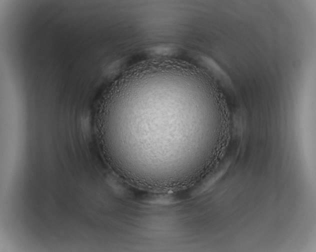 X0000113120377200909041311